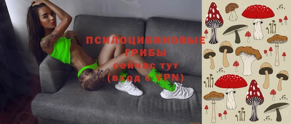 стаф Белоозёрский