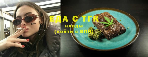 МДПВ Бородино