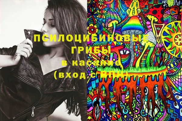 МДПВ Богородск