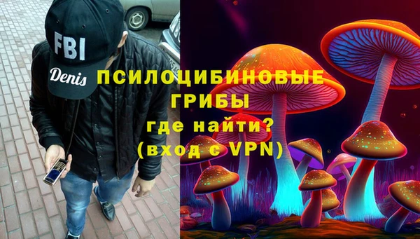 МДПВ Богданович