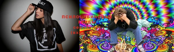 стаф Белоозёрский