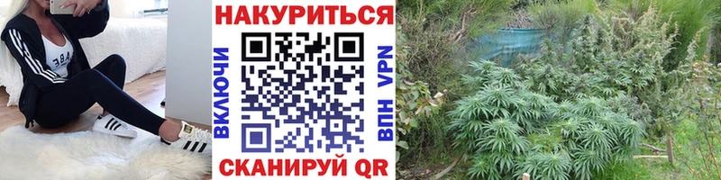 Конопля AK-47 Вельск
